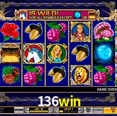 136win Rio de Janeiro - Bonus Terms